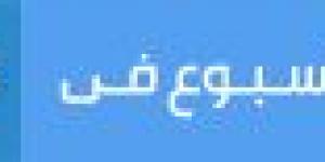 هاني محروس بعد فسخ تعاقده مع مصطفى حجاج: «شراء الورد سهل.. لكننا نفضل بذل مجهود في زراعته»