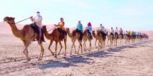 رحلة الهجن في الدرب إلى المحطة الأخيرة.. على ظهر المطية