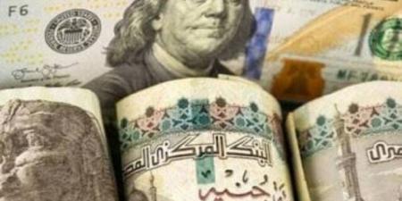 منظمة العمل الدولية: ارتفاع الأجور 1.8% بجميع أنحاء العالم في 2023