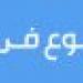 «خناقة على أولوية تحميل الركاب».. حبس المتهم بقتل زميله بـ أوسيم في الجيزة