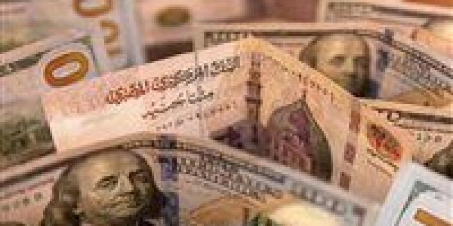 سعر الدولار مقابل الجنيه المصري في بداية تعاملات اليوم