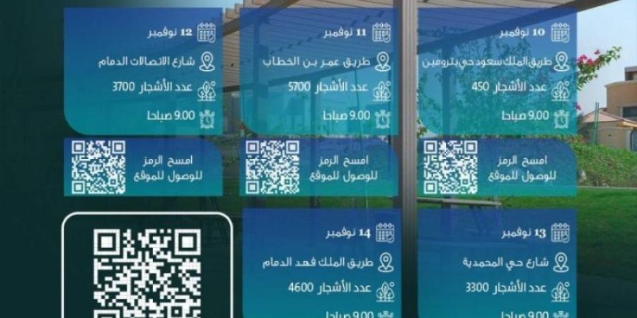 "شرقيتنا خضراء" تستهل بزراعة أكثر من (2965) شجرة في حي الفيصلية بالدمام