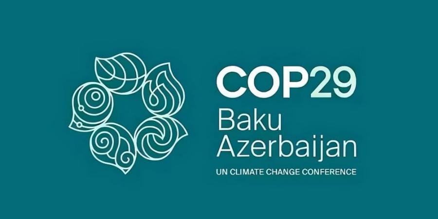 شباب الإمارات في COP29 .. نماذج مؤثرة في صياغة السياسات المناخية العالمية