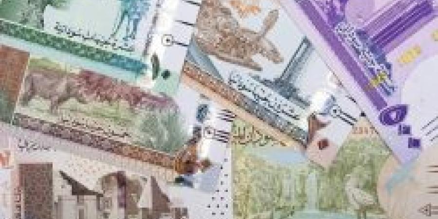 سعر الجنيه السوداني مقابل الريال السعودي اليوم السبت 30 نوفمبر 2024 آخر تحديث