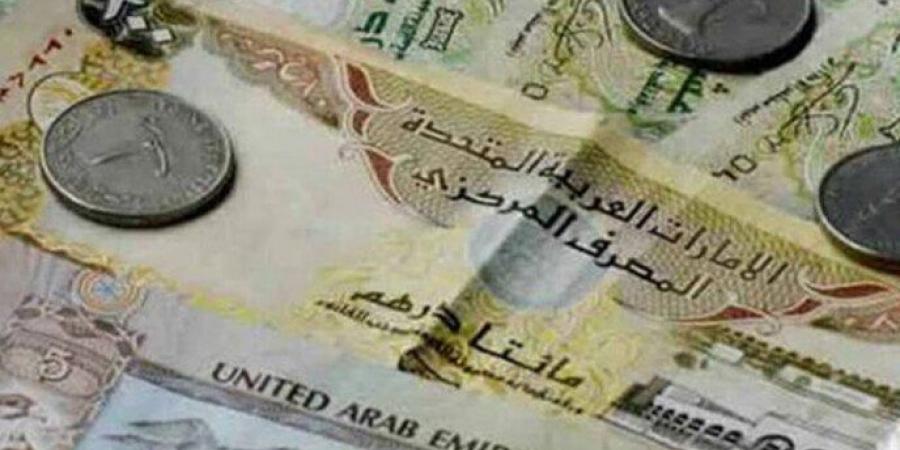 سعر الدرهم الإماراتي مقابل الجنيه المصري اليوم الثلاثاء 3 ديسمبر 2024