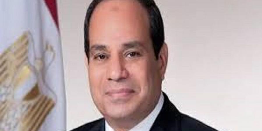 السيسي: الأهداف المشتركة لمصر والدنمارك فرصة ثمينة لتعزيز التعاون بين بلدينا