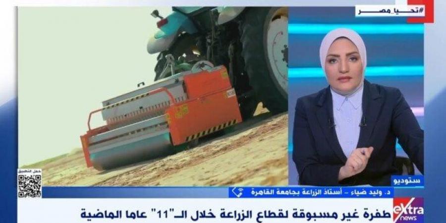 أستاذ زراعة: الاهتمام بمواصفات وجودة المنتجات يجعلها تتنافس عالميا