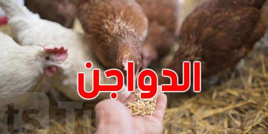 نفوق 7 آلاف ''دجاجة'' في النفيضة: فتح تحقيق لتحديد الأسباب والمسؤوليات