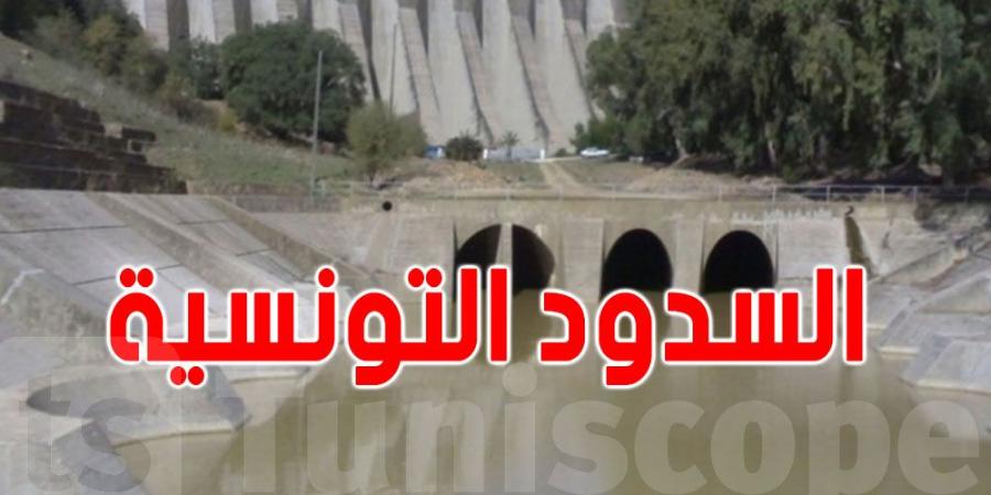 انخفاض حادّ في كميات المياه المخزنة بالسدود التونسية