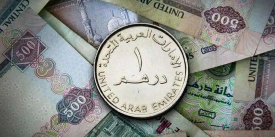 سعر الدرهم الإماراتي مقابل الجنيه المصري اليوم الثلاثاء 24 ديسمبر 2024